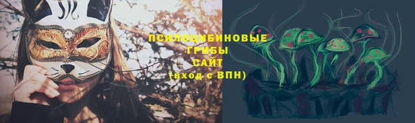 амф Бугульма